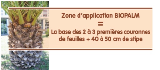 zone d'application de biopalm